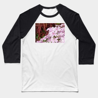 Phlox Subulata Candy Stripe Baseball T-Shirt